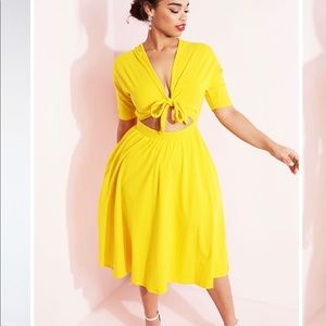 Rebdolls skater dress 🌼